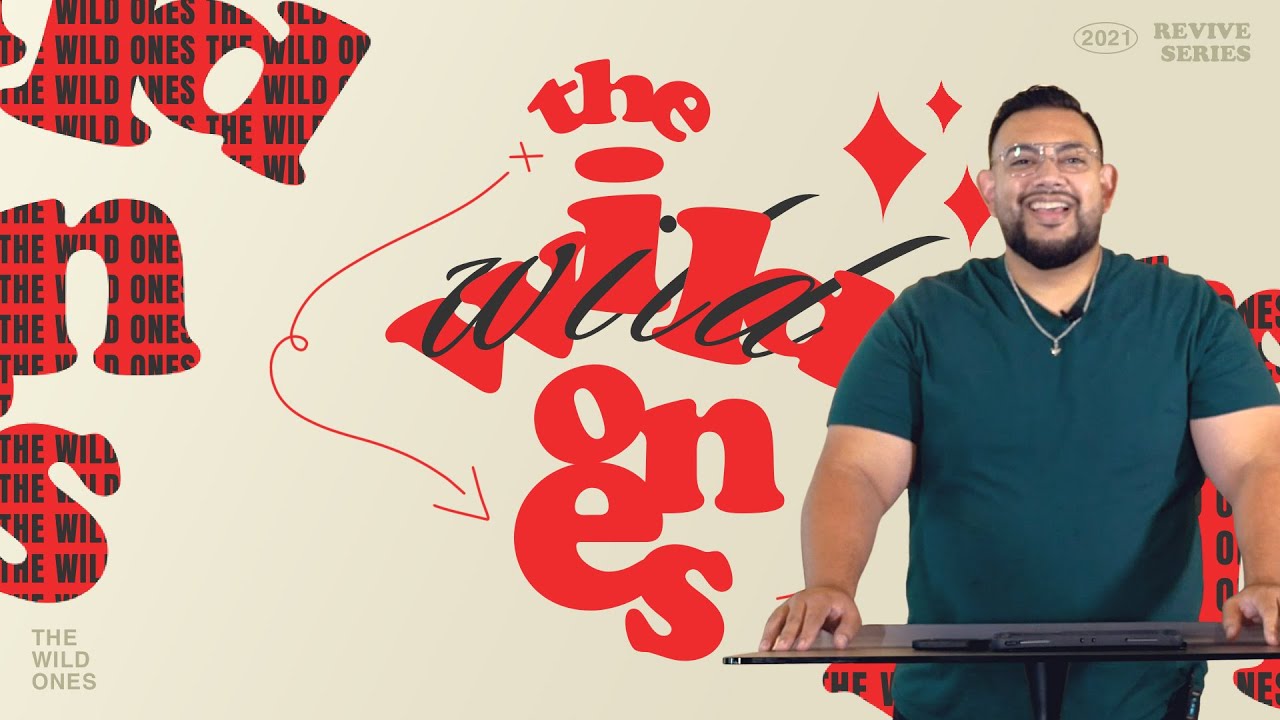 The Wild Ones